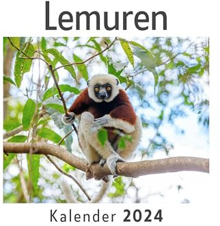 Lemuren (Wandkalender 2024, Kalender DIN A4 quer, Monatskalender im Querformat mit Kalendarium, Das perfekte Geschenk)