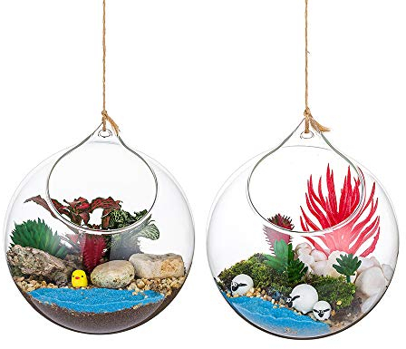 Plantas Colgantes de Aire 2 Piezas Portavelas de 4.72 Inches Cristal Terrario Portavelas Contenedores de Plantas de Vidrio para el Diseño de Bricolaje de Jardín de Bodas en Casa
