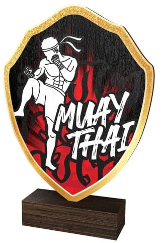 Trophy Monster Real Wood Muay Thai Kick Boxing Trophy Shield Gold, Silver or Bronze | FREE Engraved Plate | Made from Sustainable Printed 8mm Thick Birch Plywood | Buy in 8 Sizes