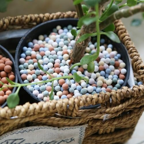 500g 7-8 mm Ceramsita Suculentas Ceramsite En Maceta Suministros De Cristal Suelo De Cultivo, Guijarros de Arcilla Bolas para Plantas, Bolas de arcilla de colores mixtos para plantas suculentas