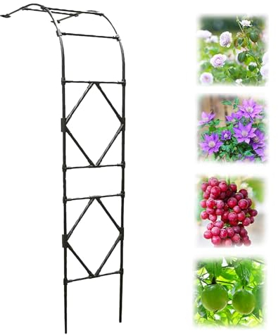 LTSRLL Metall-Halbbogen-Gartenlaube, Torbogen, Rosenbogen, 240 cm Hoch, 60/90/120/150/180/200/220/240 cm Breit, Stark, Stabil, Wetterfest Rankenbogen Rankhilfe(Color:Black,Size:240x240cm/7.9x7.9ft)