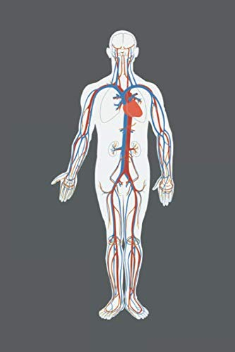 Notizbuch Anatomie - menschlicher Körper: Anatomie Malbuch blanko Notizbuch mit 120 Seiten im Taschenbuchformat (6x9 Zoll)