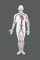 Notizbuch Anatomie - menschlicher Körper: Anatomie Malbuch blanko Notizbuch mit 120 Seiten im Taschenbuchformat (6x9 Zoll)