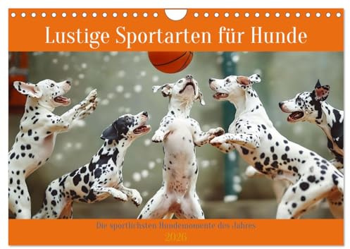 Lustige Sportarten für Hunde (Wandkalender 2026 DIN A4 quer), CALVENDO Monatskalender: Vierpfoten-Power (CALVENDO Spass)