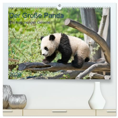 Der Große Panda Ein kuscheliger Geselle (hochwertiger Premium Wandkalender 2026 DIN A2 quer), Kunstdruck in Hochglanz: Der Pandabär, ein beliebter Sympathieträger (CALVENDO Tiere)