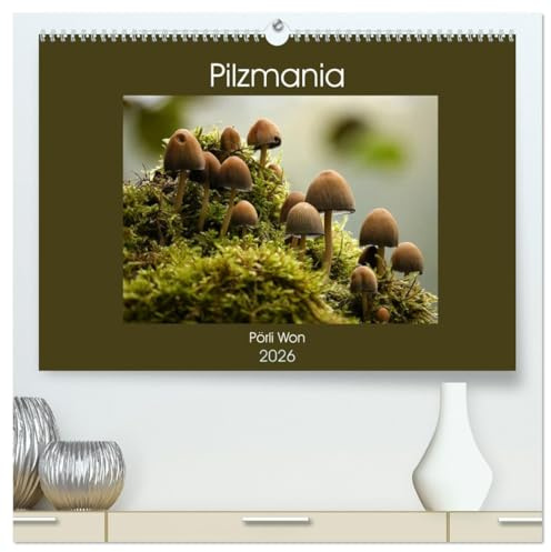 Pilzmania (hochwertiger Premium Wandkalender 2026 DIN A2 quer), Kunstdruck in Hochglanz: Mit gewöhnlichen und ungewöhnlichen Pilzen durch das Jahr (CALVENDO Natur)