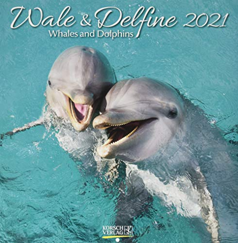 Wale und Delfine 2021: Broschürenkalender mit Ferienterminen. Tierkalender von Fischen. 30 x 30 cm