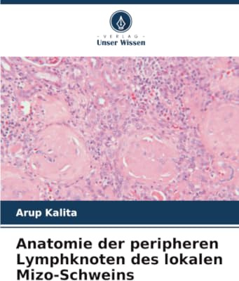 Anatomie der peripheren Lymphknoten des lokalen Mizo-Schweins: DE