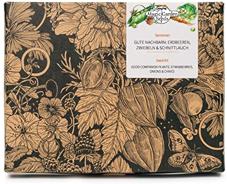 Fraises, Oignons & Ciboulette - kit cadeau de graines avec 5 plantes compagnes pour la culture associée