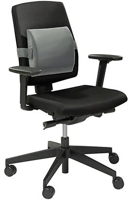 XDREAM ergonomisches Rückenkissen Visco | Memory Foam Lendenkissen | Abnehmbarer, waschbarer Bezug | Öko-Tex Zertifiziert | anthrazit | 30 x 28cm