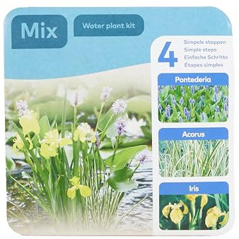 Bloomique - Set de 3 Plantas de Estanque - Incluido anillo flotante - Pontederia - Acorus - Iris -