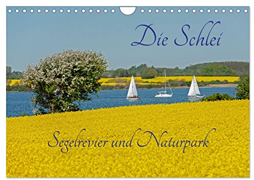 Die Schlei - Segelrevier und Naturpark (Wandkalender 2026 DIN A4 quer), CALVENDO Monatskalender: Die Schlei, ein Ostseefjord umgeben von Rapsfeldern. (CALVENDO Orte)