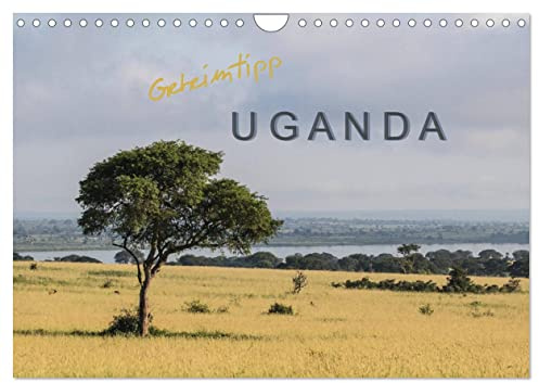 Geheimtipp Uganda (Wandkalender 2026 DIN A4 quer), CALVENDO Monatskalender: In Uganda begegnet man viel Natur aber (noch) wenig Touristen. (CALVENDO Orte)