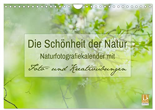 Die Schönheit der Natur - Naturfotografie-Kalender mit Foto- und Kreativübungen (Wandkalender 2026 DIN A4 quer), CALVENDO Monatskalender: Traumhafte ... Foto- und Kreativübungen (CALVENDO Hobbys)