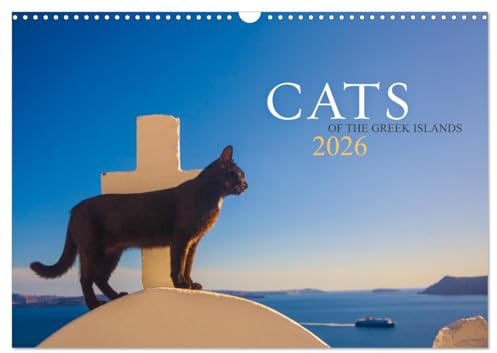 Cats of the Greek Islands (Wall Calendar 2026 DIN A3 Landscape), CALVENDO 12 Month Wall Calendar: 12 uniquely beautiful cat portraits that will get ... mood all year round (CALVENDO Animals)