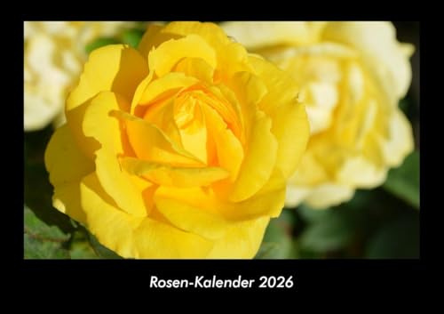 Rosen-Kalender 2026 Fotokalender DIN A3: Monatskalender mit Bild-Motiven aus Fauna und Flora, Natur, Blumen und Pflanzen
