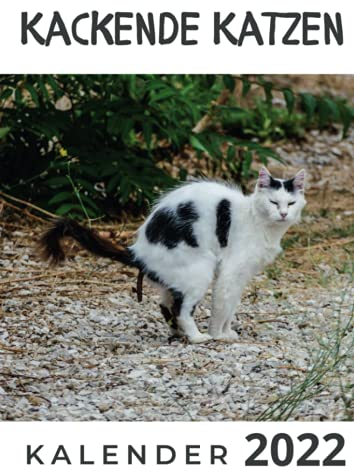 Kackende Katzen: Kalender 2022