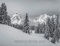 Monochrome 2021: Ein Kalender im Kontrast