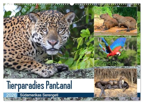 Tierparadies Pantanal (Wandkalender 2026 DIN A2 quer), CALVENDO Monatskalender: Tierreichtum im Südwesten Brasiliens (CALVENDO Tiere)