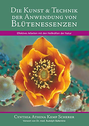 Die Kunst & Technik der Anwendung von Blütenessenzen: Effektives Arbeiten mit den Heilkräften der Natur