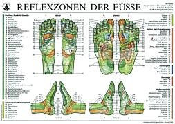 Reflexzonen der Füße (Tafel A2): Mit Beiheft: Die Reflexzonentherapie am Fuß (54. Aufl. 2005) zur Patienteninformation