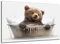 DARO Design - Toiletten-Bild auf 6mm HDF 40x30 cm Baby Bär in der Badewanne - Wand-Deko Bilder Lustiges Geschenk