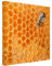 Bilderwelten Leinwandbild - Honey Bee - Quadrat 1:1, 30cm x 30cm