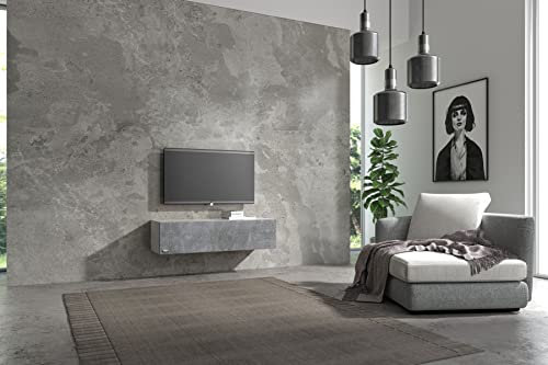 Wuun® 120cm/ Front Beton (Korpus Perl-Matt-Grau)/8 Größen/6 Farben/TV Lowboard TV Board hängend Hängeschrank Wohnwand/Somero