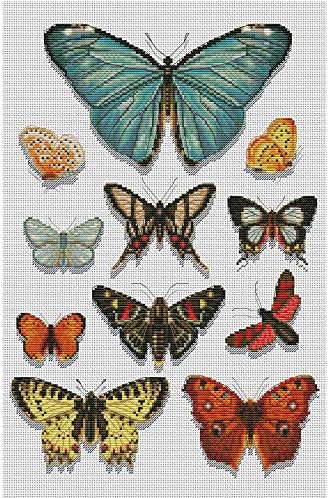 Maydear Kreuzstich-Set mit Prägung, komplettes Sortiment an Kreuzstich-Starter-Sets für Anfänger, 14 CT, 2 Stränge – Butterfly specimens,32 x 47 cm