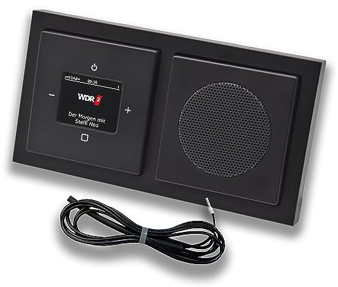 Busch Jäger DAB+ (DAB PLUS) Unterputz Radio 8215U-101 Future SCHWARZ MATT, Set mit Lautsprecher, Abdeckungen, Rahmen + 0,9 m EBROM Wurfantenne zur Empfangsoptimierung - 8215 U – 101