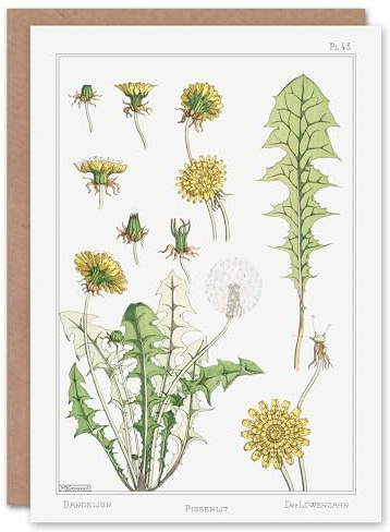 Artery8 Maurice Pillard Verneuil Art Card Dandelion Flower Plant