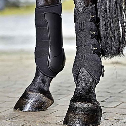 Gamaschen DRESSAGE-PRO