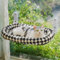 MEWOOFUN Large Cat Window Hammock Bed w/Removable Thicken Cover - Foldable Cat Window Bed Perch Sturdy for Cats Sunbathing Viewing, with 4 Strong Suction Cups Holds up to 18kg (Checkerboard, M)