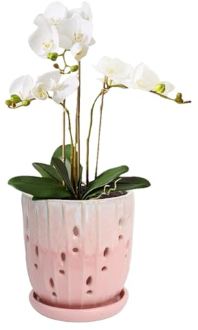 vensovo 15.24 cm Ceramic Orchid Pot with Holes and Saucer, Pink | Ceramic Planter for Indoor and Outdoor Orchids, with Ventilation Holes to Support Air Circulation and Root Growth