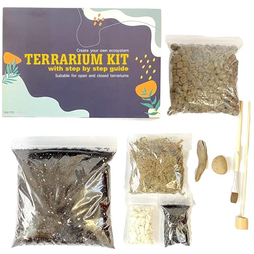 Kit de Terrarium Bricolage pour Cactus Succulents avec Guide Comprend Une Brosse en Bois flotté avec du Sable de Mousse de sphaigne au Charbon, Taille M