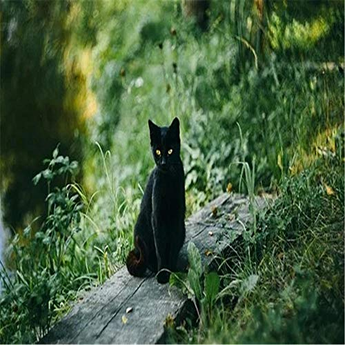 Yingxin34 Jigsaw Puzzle 2000 Teile, Katze im Gras 2000 Stück Puzzles für Erwachsene Kinder Freunde, Intellektuelles Psychedelisches Kartenspiel 70X100cm(27.55 * 39.37inch)