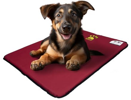 EVE Textile Hundematte | Katzenmatte | Hundekissen | Katzenkissen | Hundebett | Katzenbett | Matte für Hunde und Katzen | Beidseitig Verwendbar | Atmungsaktiv | Kühlend | 50x70x2 cm (Rot)