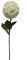 2474U Kunst-Stielblume Allium Lauchblüte weiß ca. 76cm naturgetreue Blüte Seidenblume