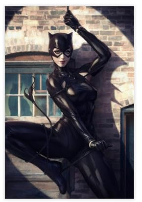 LoueN Catwoman Poster (13) Leinwand Poster Schlafzimmer Dekor Sport Landschaft Büro Zimmer Dekor Geschenk ungerahmt 20 x 30 cm