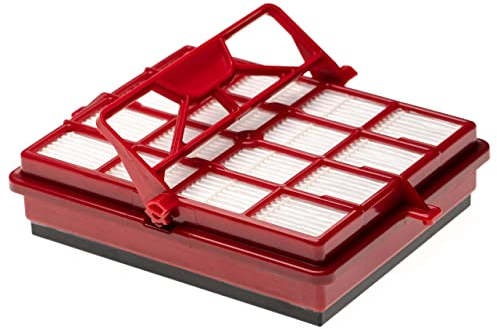 vhbw Kombi-Filter kompatibel mit Lux Intelligence S115 Staubsauger - 1x Ersatz-Filter (HEPA-Aktivkohlefilter)