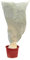 TERRE JARDIN Voiles d'hivernage pour Plante - Lot de 10