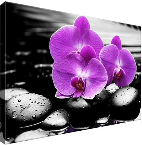 Estika Leinwand bilder - Violette Orchideen, Schwarz weiß Hintergrund - 60x40 cm, 1 teilige kunstdruck - Wandbilder wohnzimmer, schlafzimmer, Moderne wanddeko, Bild auf leinwand - 1379A_1E