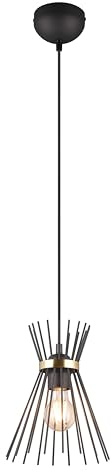 Reality Leuchten Pendelleuchte Rod R31531080, Metall Schwarz matt/Goldfarbig, exkl. 1x E27 |