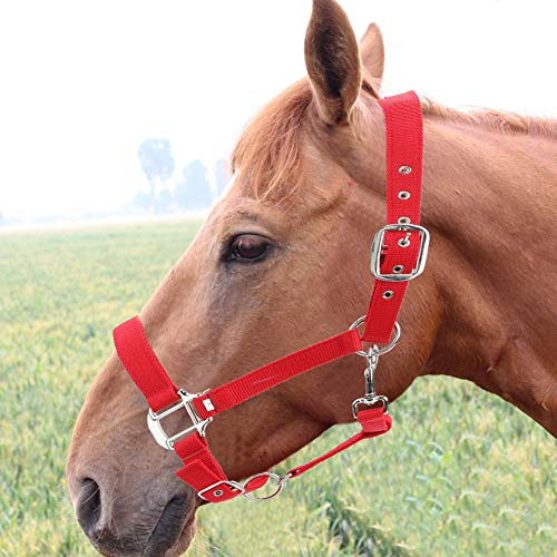 Jonlaki 6 Mm Dickes Rotes Pferdehalfter für Reitkontrolle und Komfort – Zaumzeug-Zubehör