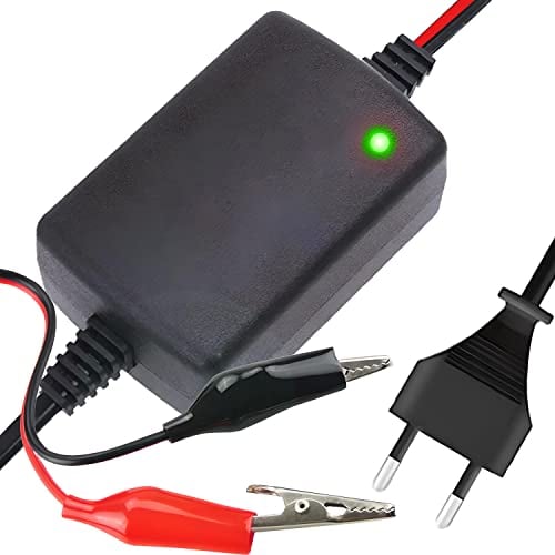 Retoo Batterieladegerät 12V 1.5A Gel Batterie KFZ Ladegerät für Oldtimer, Motorrad, Roller, Rasenmäher, Boote, LKW, PKW, Wohnwagen, Autobatterie und Motorradbatterie Ladegeräte, Ladekabel 1.3 M