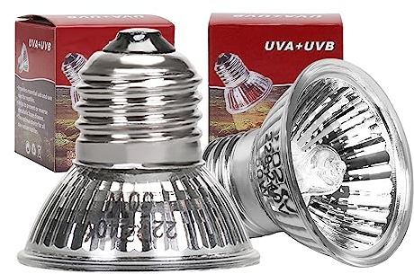 AIICIOO Lampe Schildkröte 50W Terrarium Wärmelampe E27 Dimmbar Halogen-Glühlampe UVA UVB Reptilien Heizung für Reptilien Schildkröten Schlangen Eidechsen (2 Stück)