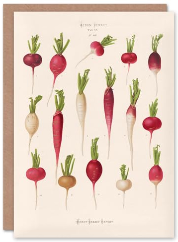 Artery8 Ernst Benary Art Card Radish Root Varieties Vintage Botanical