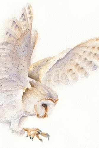Owl Notebook Journal: Owl Watercolor Print Cover, Lined Notebook with Page Numbers, 6x9