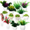 IMIKEYA 13 Pcs Doll House Plants Miniature Bonsai Plants Mini Potted Plants Models Tiny Fake Greenery Ornaments