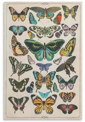 CYPGTBCK Vintage-Poster mit Schmetterlingen, Pilzarten, Papillons, Schmetterlinge, Leinwand-Kunstposter und Wandkunst, Bilddruck, moderne Familienschlafzimmer-Dekoration, Poster, 30 x 45 cm